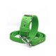 Set: New very strong collar and leash from Woof Craft