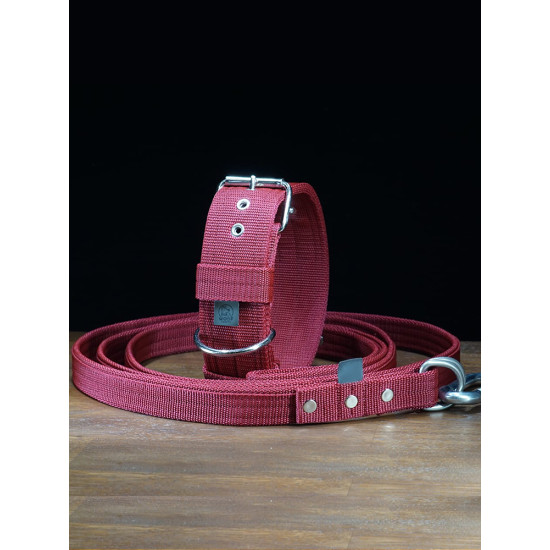 Set: New very strong collar and leash from Woof Craft