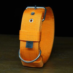 New very strong collar from Woof Crafts