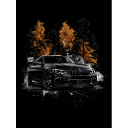 Black T-shirt with a unique "Gold Forest BMW Style" graphic from Wroom Shop