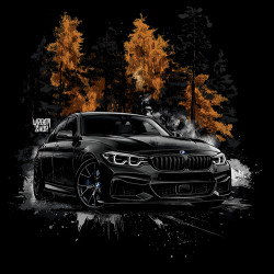 Black hoodie "Gold Forest BMW Style" Wroom Shop